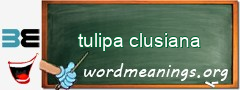 WordMeaning blackboard for tulipa clusiana